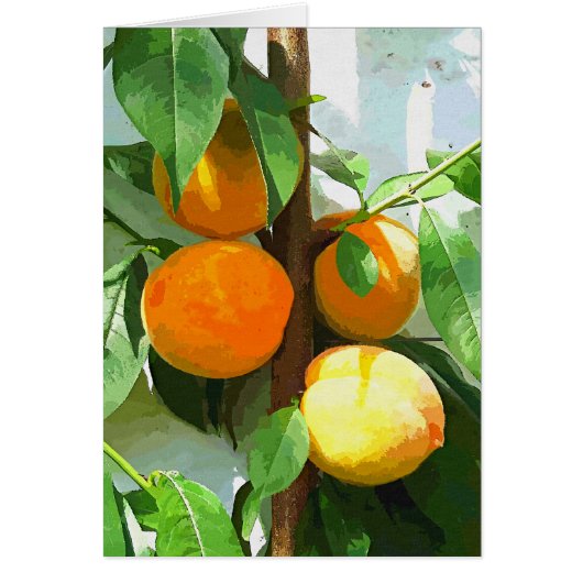 桃カード (正面)