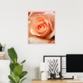 桃バラアプリコットバラ花フローラ写真 ポスター (ホームオフィス)