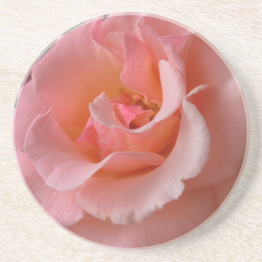 桃バラコースターズワイルドバラギフトキープサケデコール コースター (正面)