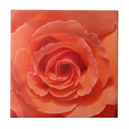 桃バラセラミック写真タイル タイル