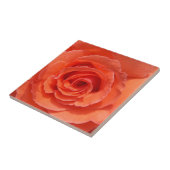 桃バラセラミック写真タイル タイル (側面)