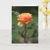 桃バラ友好カード カード (黄色い花)