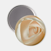 桃バラ結婚磁石 マグネット (正面/裏面)