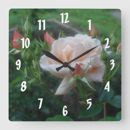 桃バラ花 スクエア壁時計 (正面)