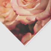 桃バラ花 薄葉紙 (詳細)