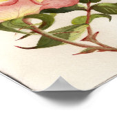 桃及び桃バラ花植物水彩 ポスター (角)