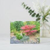 桃太郎日本のガーデン3 ポストカード (スタンド正面)