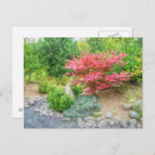 桃太郎日本のガーデン3 ポストカード (正面/裏面)