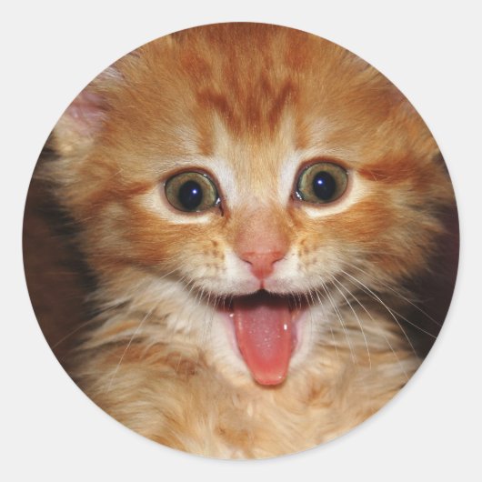 桃子猫 ラウンドシール (正面)