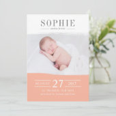 桃完璧 案内状 (スタンド正面)