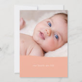 桃完璧 案内状 (裏面)