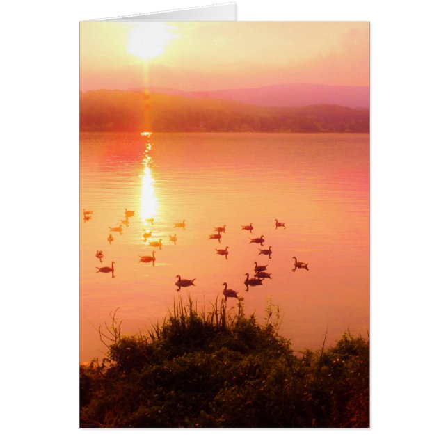 桃色と桃色の夕日 (正面)