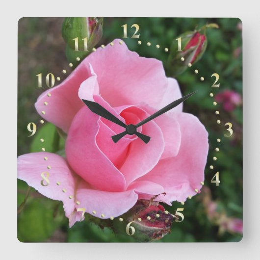 桃色のバラ色の花 スクエア壁時計 (正面)