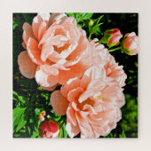 桃色の芍薬の花 ジグソーパズル (横)