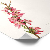 桃色の花の水色絵画の ポスター (角)