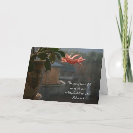 桃色の花を咲かせた感謝祭サボテン シーズンカード (正面)