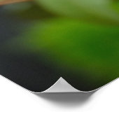 桃色の花 ポスター (角)