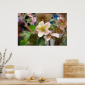 桃色の花 ポスター (キッチン)