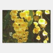 桃色の雨の胡蝶蘭の花 ラッピングペーパーシート (正面3)