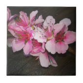 桃花 タイル (正面)