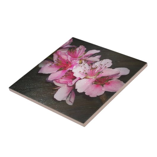 桃花 タイル (側面)