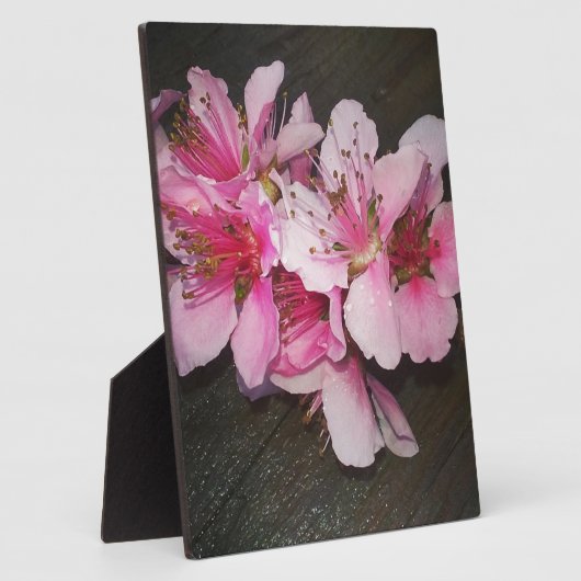 桃花 フォトプラーク (側面)