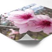 桃花 ポスター (角)