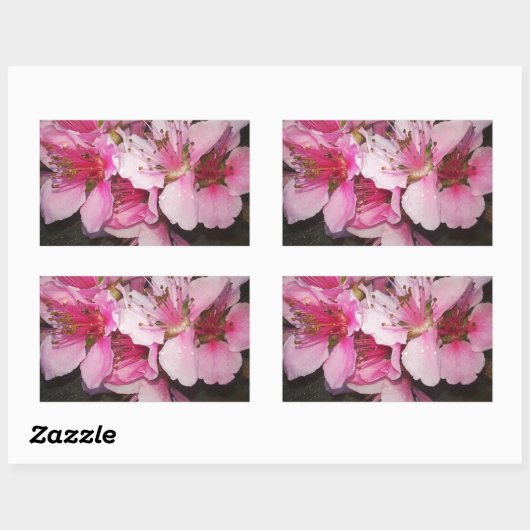 桃花 長方形シール (シート)