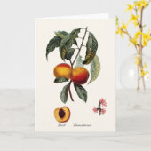 桃 カード (黄色い花)