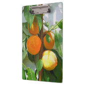 桃 クリップボード (左)