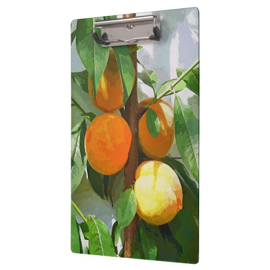 桃 クリップボード (左)