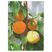 桃 クリップボード (裏面)