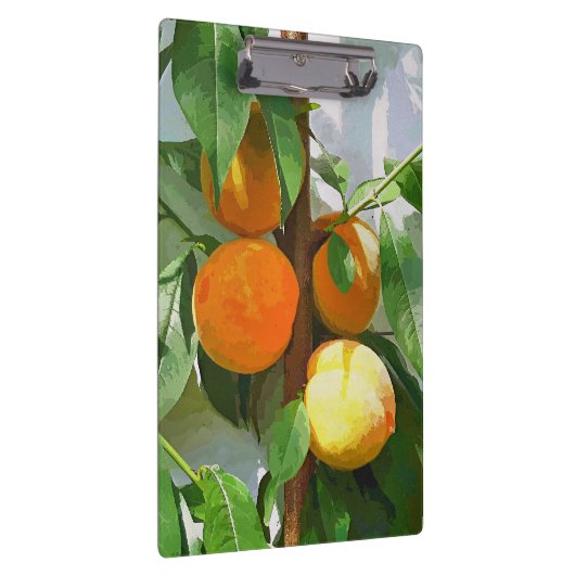 桃 クリップボード (右)