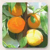 桃 コースター (正面)