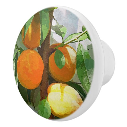 桃 セラミックノブ (右)