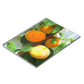 桃 ノートブック (左側)