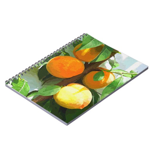 桃 ノートブック (左側)