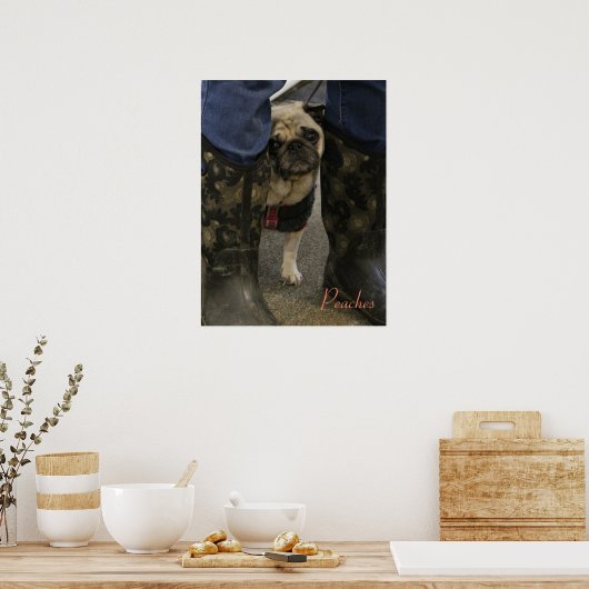 桃 ポスター (キッチン)