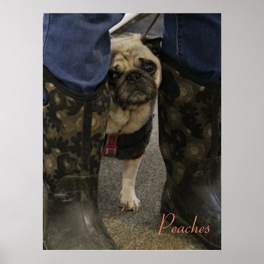 桃 ポスター (正面)