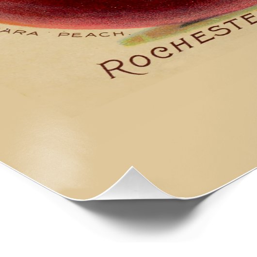 桃 ポスター (コーナー)