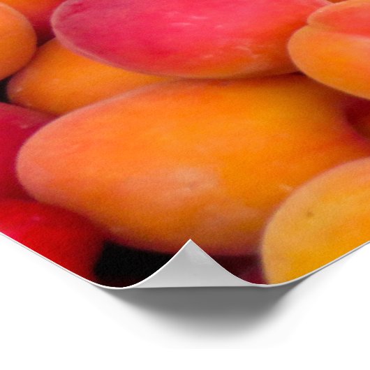 桃 ポスター (角)