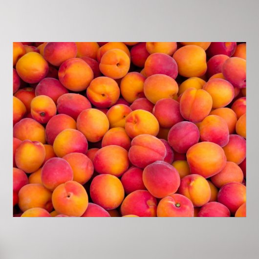 桃 ポスター (正面)