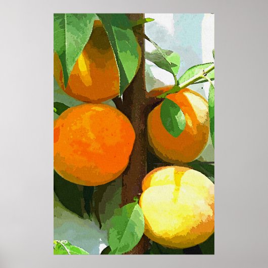 桃 ポスター (正面)