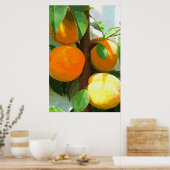 桃 ポスター (キッチン)