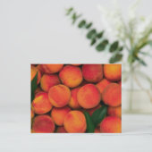 桃 ポストカード (スタンド正面)