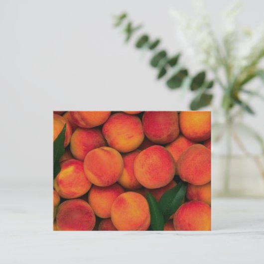 桃 ポストカード (スタンド正面)