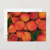 桃 ポストカード (正面/裏面)