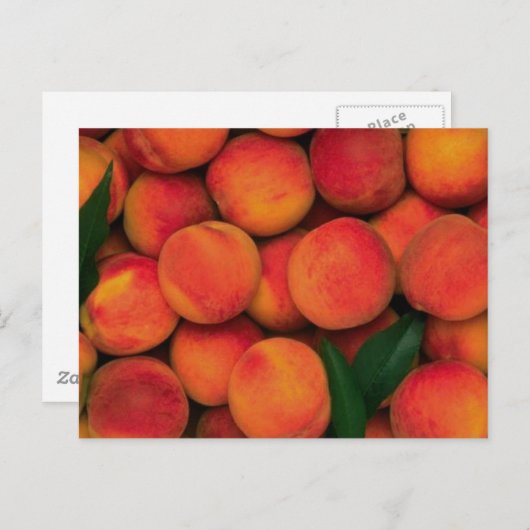 桃 ポストカード (正面/裏面)