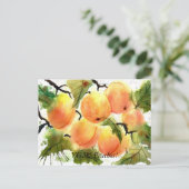 桃！ ポストカード (スタンド正面)