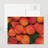 桃 ポストカード (正面/裏面)